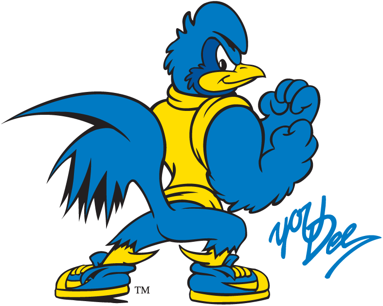 Delaware Blue Hens 1993-Pres Mascot Logo diy fabric transfer